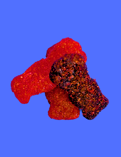 Matador Chamoy Gummies Chamoy Kids